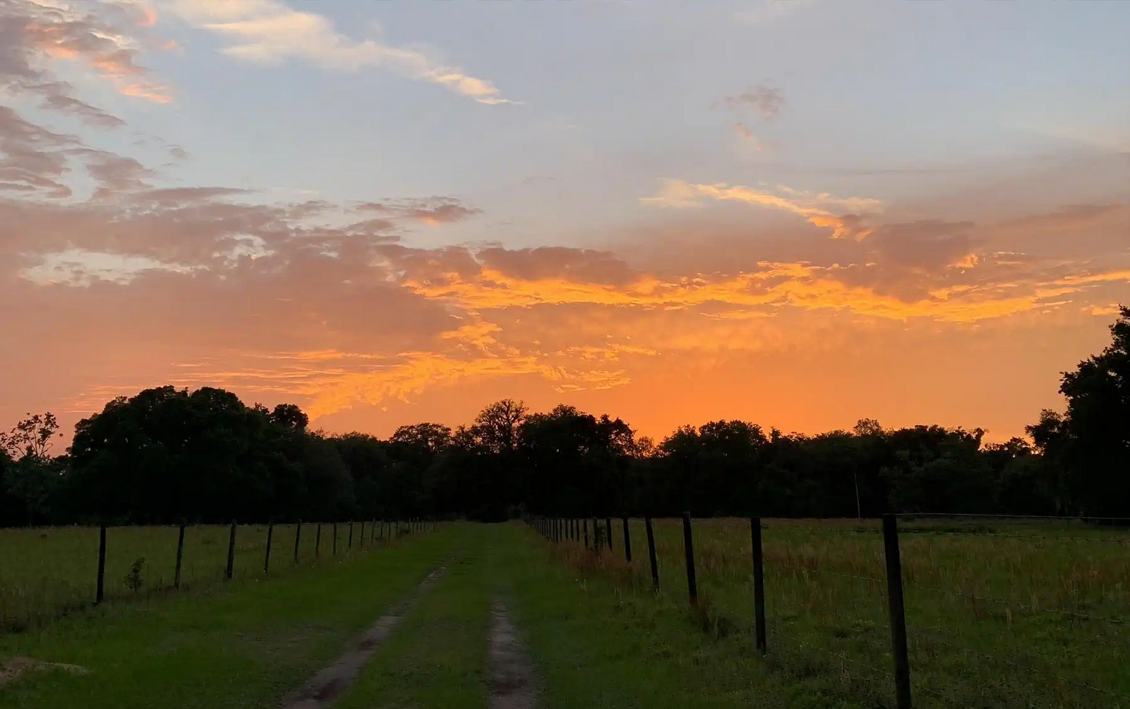 Palatka Farm country - Putnam County