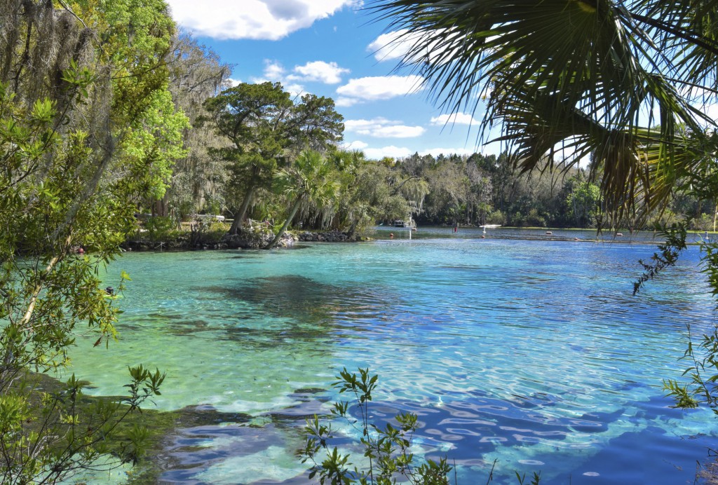 Silver Glen Springs - Putnam County